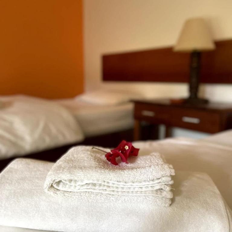 Warm 1BR Tropical Garden - Bungalow - 5