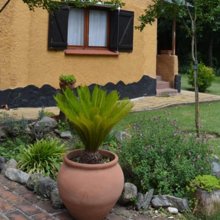 El Cobijo, Casas de Campo - Casa de 4 dormitorios - 20