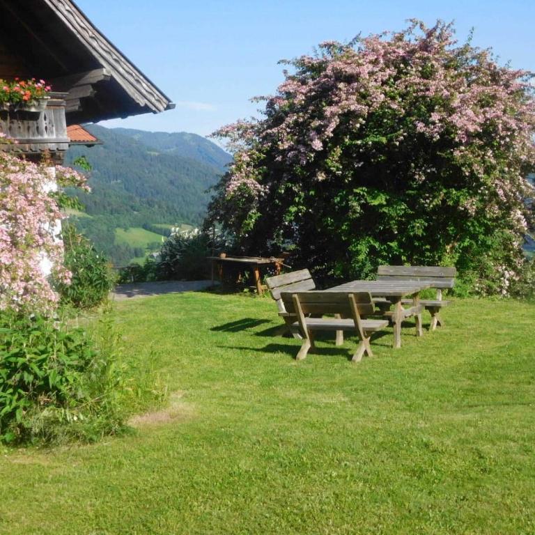 Bio - Appartements Bischof, Familie Wind - Apartment mit 1 Schlafzimmer und Terrasse - 5
