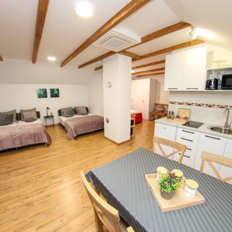 Studio apartman HBB - Villa 1 Chambre - 17