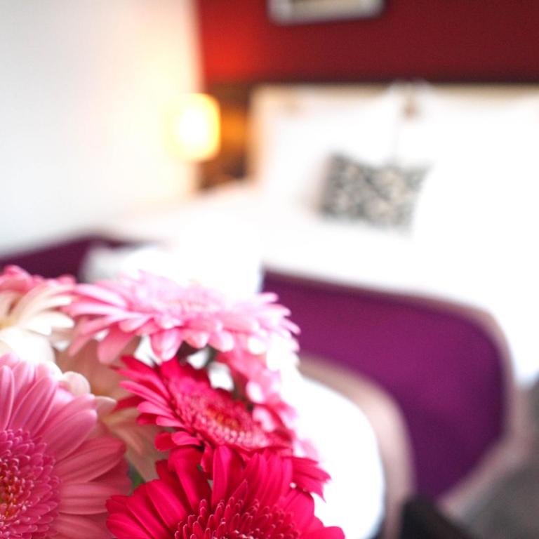 Mercure Angers Centre Gare - Chambre Standard avec 2 Lits Simples - 4