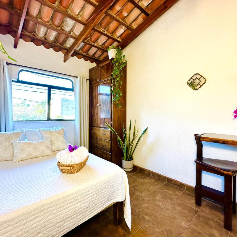 CABO BOHEMIA Tropical Garden Studios - Estudio - 10