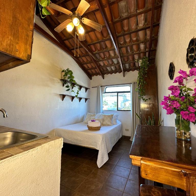 CABO BOHEMIA Tropical Garden Studios - Estudio - 4