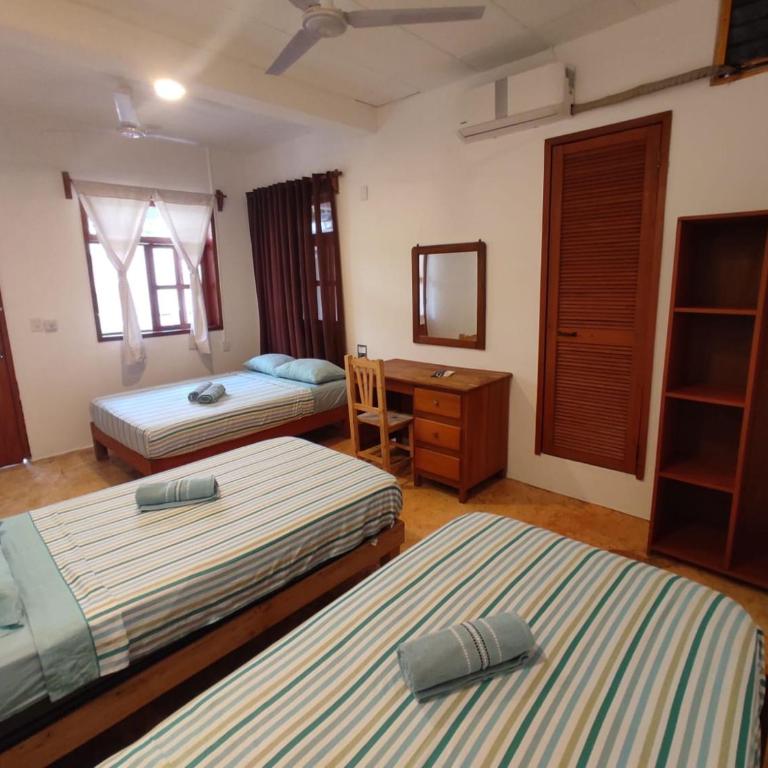 Hotel Papaya Surf - Habitación Cuádruple - vistas al jardín - 1