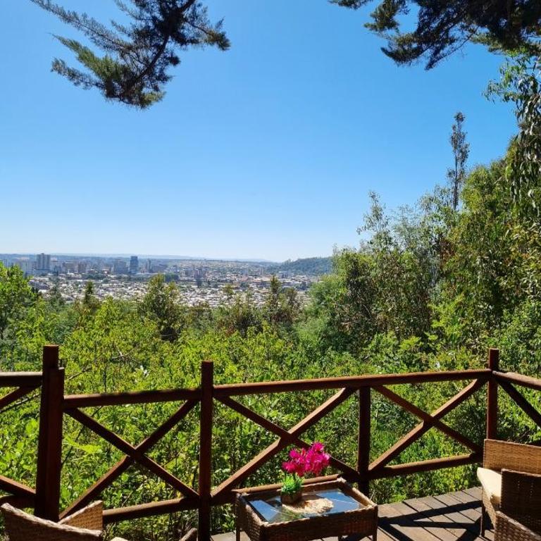 Domo Temuco con vista a la ciudad - One-Bedroom Apartment - 12