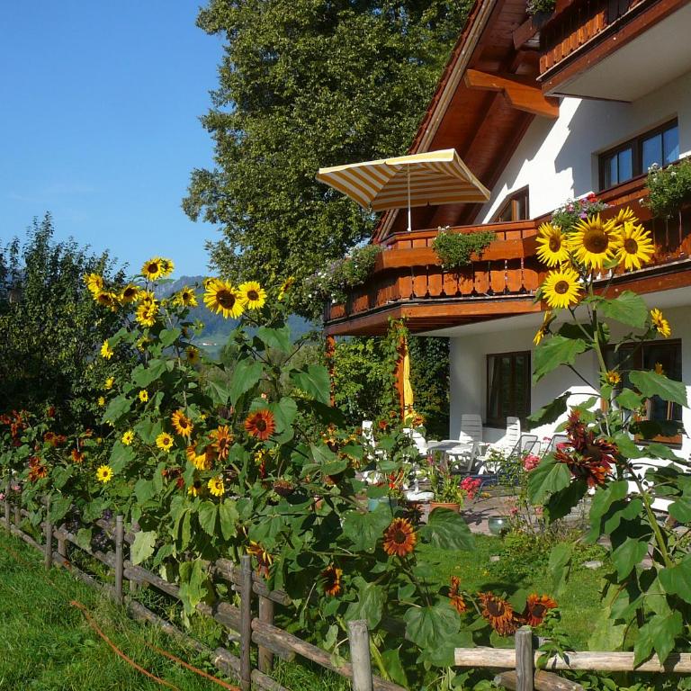Landhaus Heinrich - Apartment mit Terrasse - 1