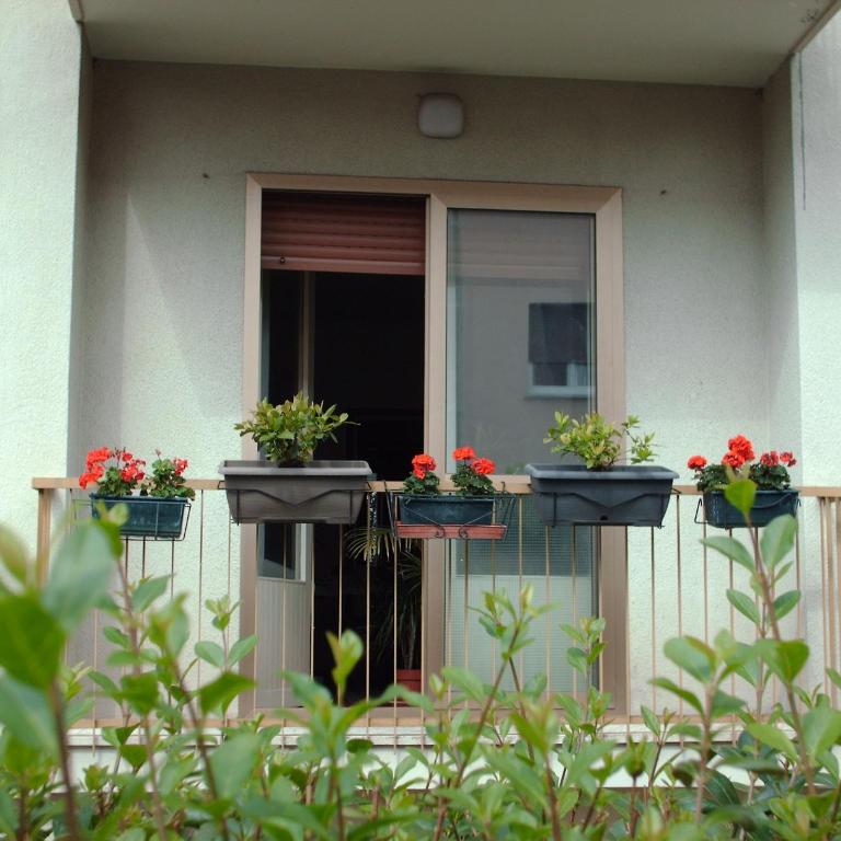 Guest House Cuore del Friuli - Camera Tripla con Bagno Privato Esterno - 6