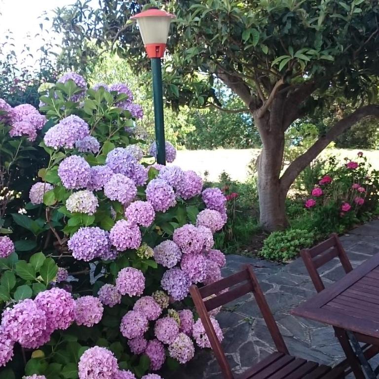 Villa Venino - Casa con 2 Camere da Letto - 18