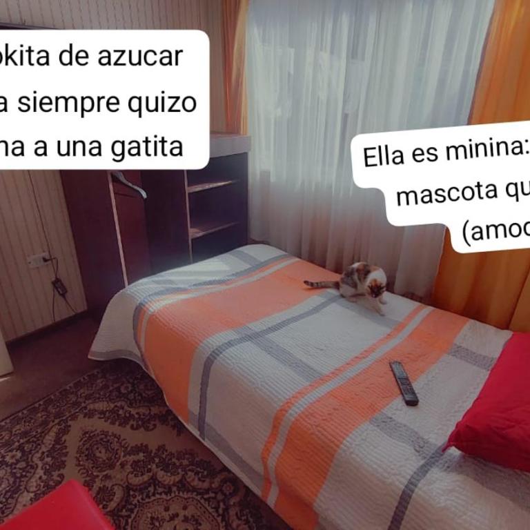 La profe juanita albornoz - Habitación Individual Económica - 3