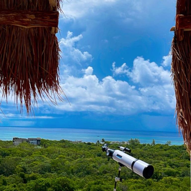 Lovely rental unit in PLAYA del Carmen - Apartamento de 1 dormitorio - 39