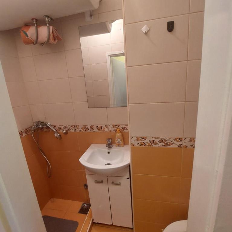 Apartman Centar - Apartman sa 1 Spavaćom Sobom - 2