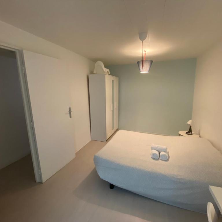 Appart Hotel - Les Cosy De Nancy - Place du marché, proche gare - Appartement 1 Chambre - 8
