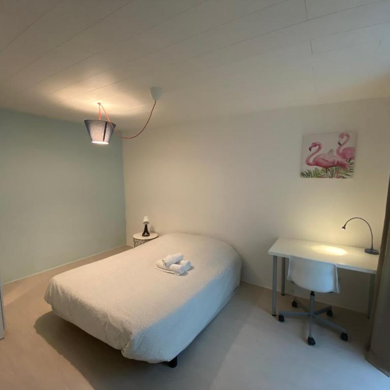 Appart Hotel - Les Cosy De Nancy - Place du marché, proche gare - Appartement 1 Chambre - 4