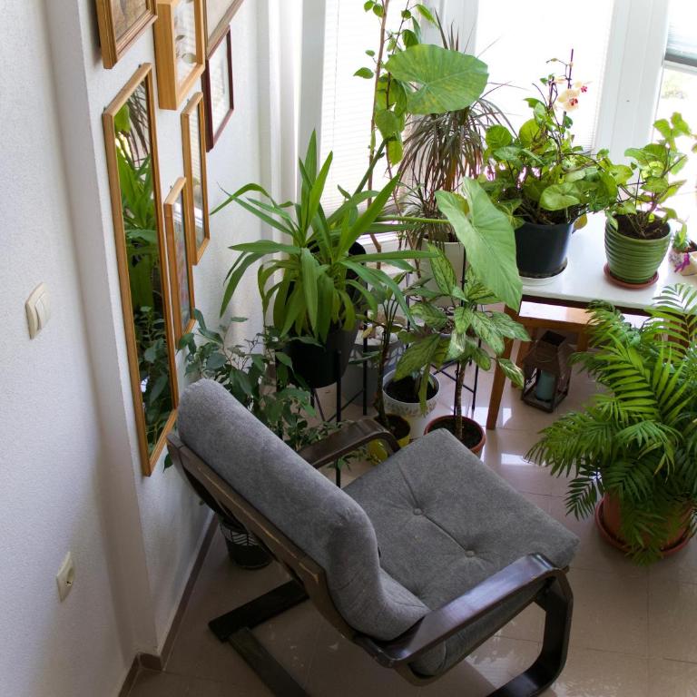 Apartments Grabovica - Studio with Balcony - 3