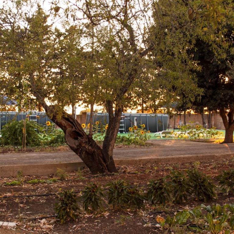 Appartamento in masseria a Porto Cesareo - Appartamento con 2 Camere da Letto - 5