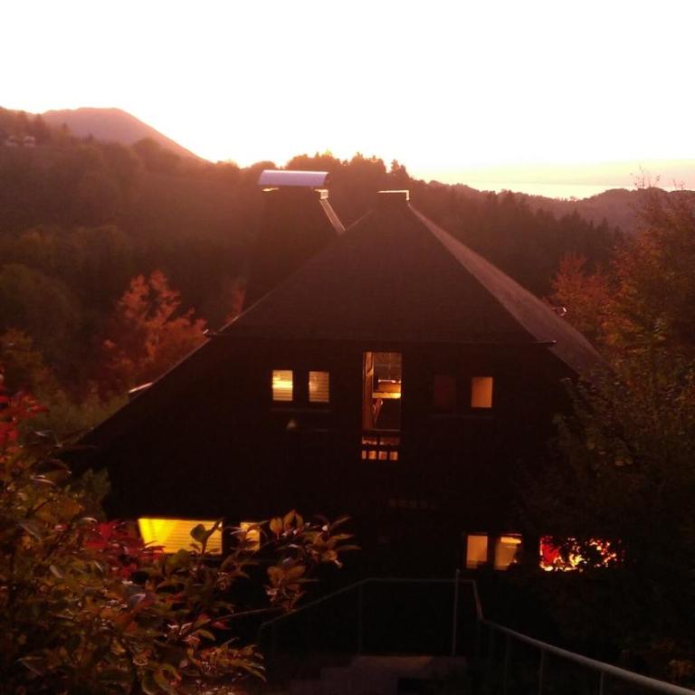superbe chalet en montagne vue Lac Léman - Chalet 2 Chambres - 1