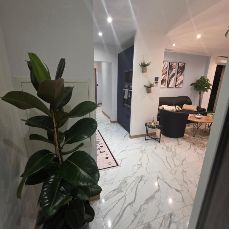 La Seyne-sur-Mer CHARMANT T3 HAUT DE GAMME ALLIANT ÉLÉGANCE et CONFORT - Apartment mit 2 Schlafzimmern - 8