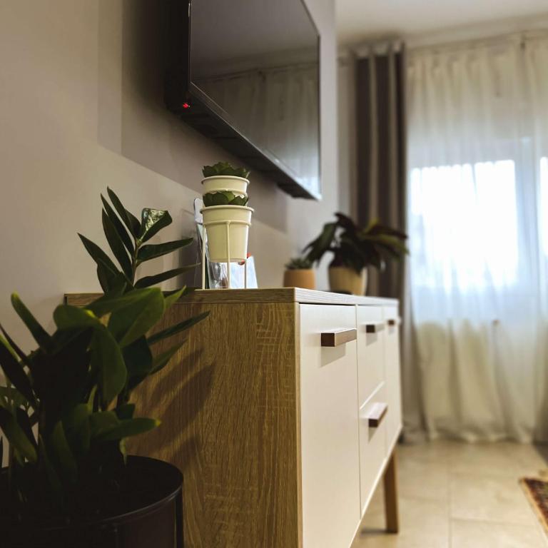 Apartments Velickovic - Apartman - 16