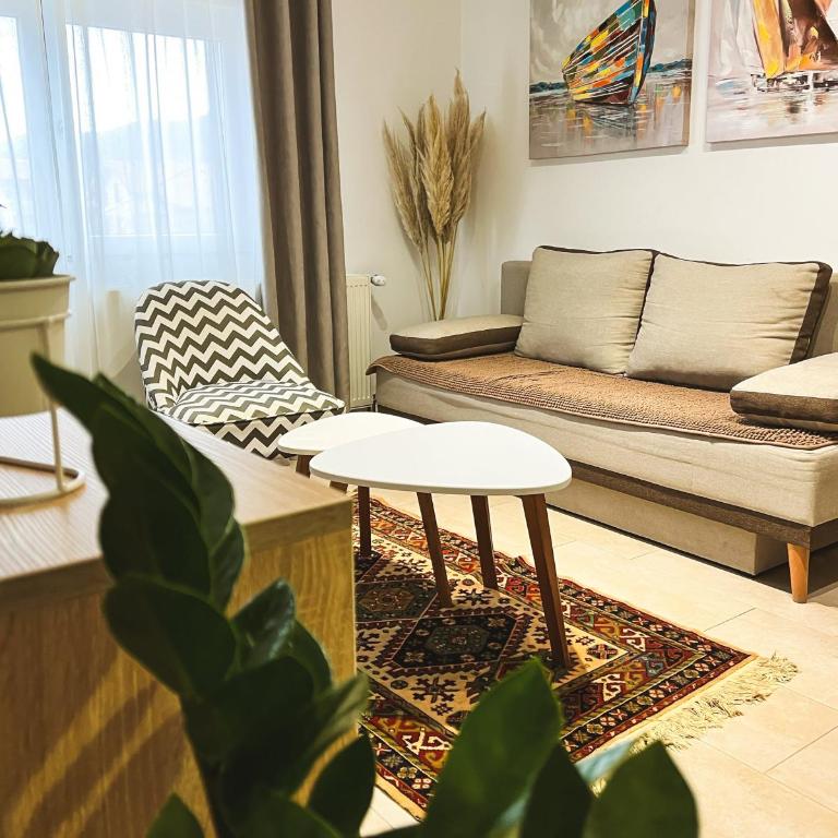 Apartments Velickovic - Apartman - 5