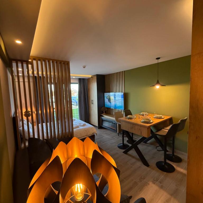 A10 Residence hill, Kopaonik - One-Bedroom Apartment - 2