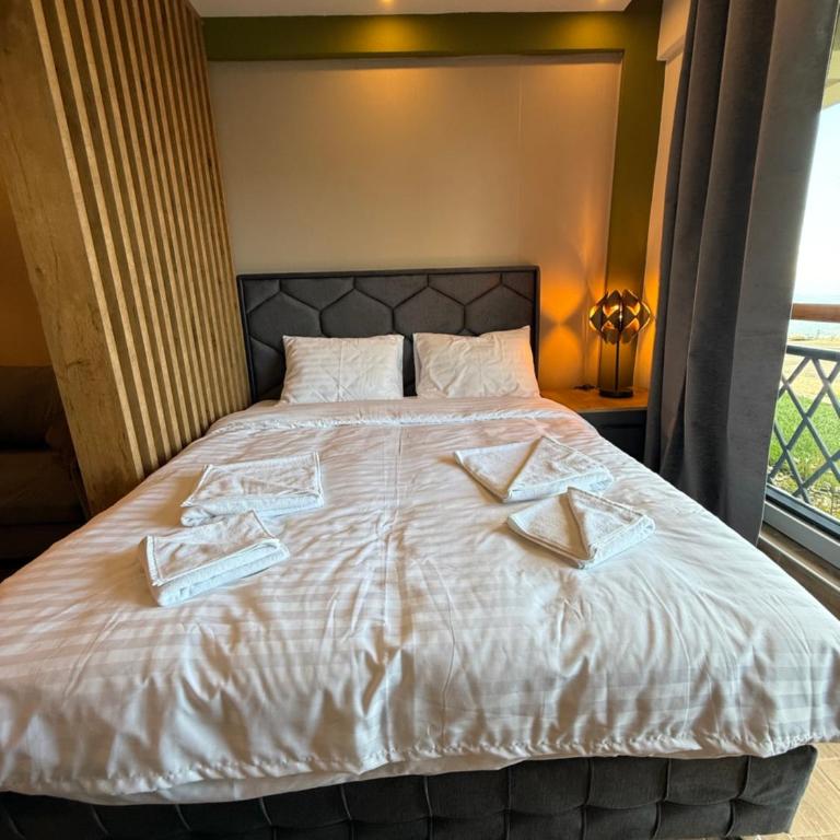 A10 Residence hill, Kopaonik - One-Bedroom Apartment - 6