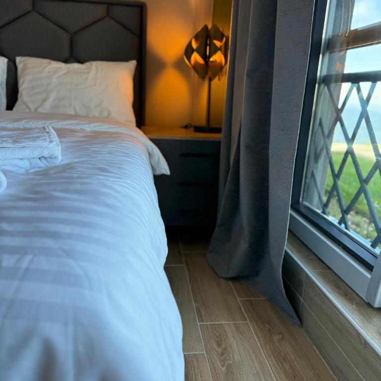 A10 Residence hill, Kopaonik - One-Bedroom Apartment - 11