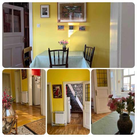 Cozy&Arty House with Garden&Parking- in the centre - Apartman sa 3 Spavaće Sobe - 7