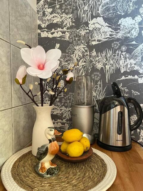 Cozy&Arty House with Garden&Parking- in the centre - Apartman sa 3 Spavaće Sobe - 8