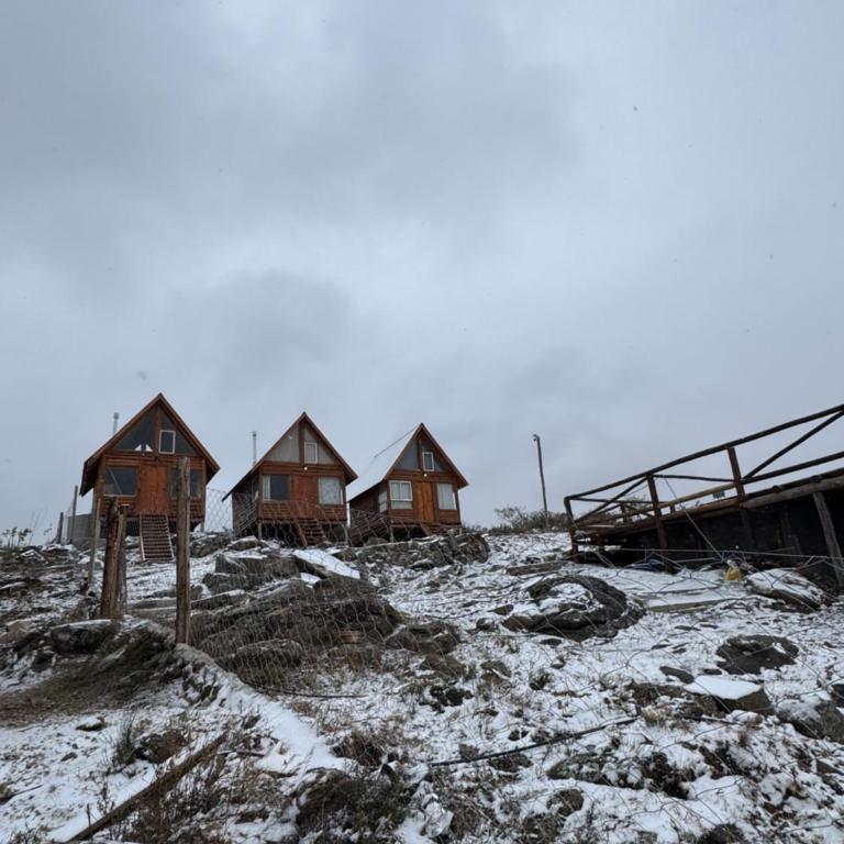 Tiny house two - Chalet de 1 dormitorio - 6