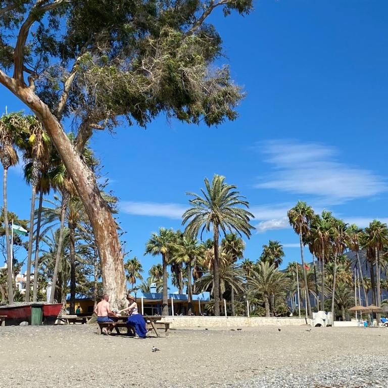 New renovated Marbella Mija House - Puerto Banus quiet and green oasis - Vacation Home - 49