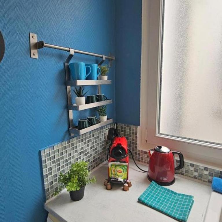 Appartement RENOVE EN PLEIN COEUR DE PARIS SUR L'ILE SAINT LOUIS ! - Appartement 1 Chambre - 12