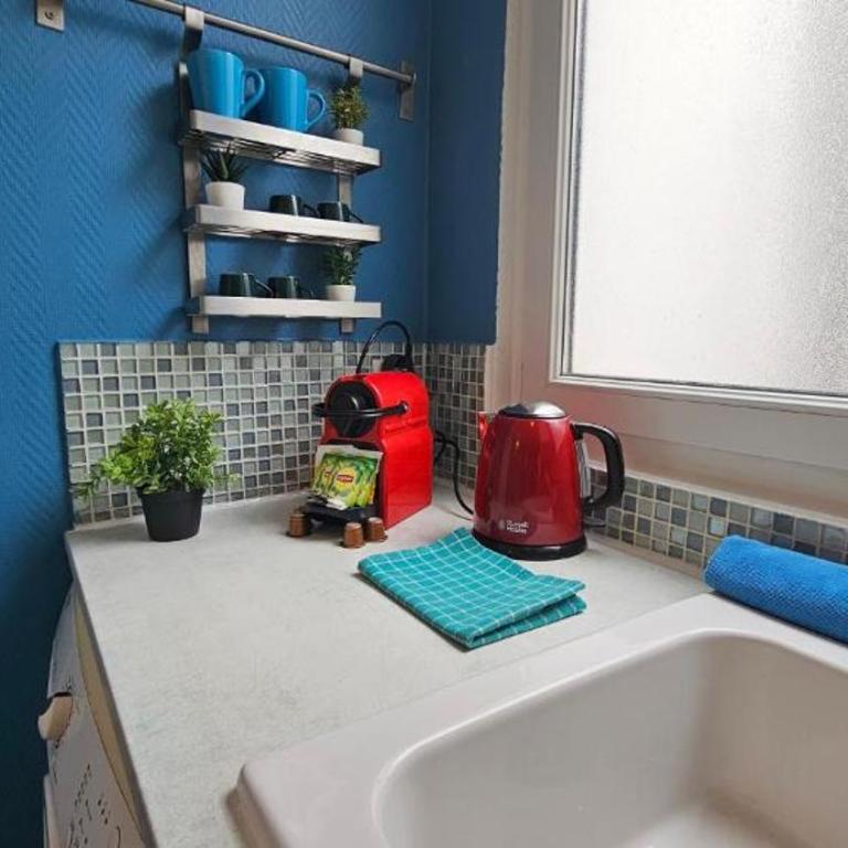 Appartement RENOVE EN PLEIN COEUR DE PARIS SUR L'ILE SAINT LOUIS ! - Appartement 1 Chambre - 24