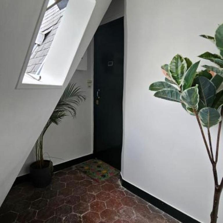 Appartement RENOVE EN PLEIN COEUR DE PARIS SUR L'ILE SAINT LOUIS ! - Appartement 1 Chambre - 34