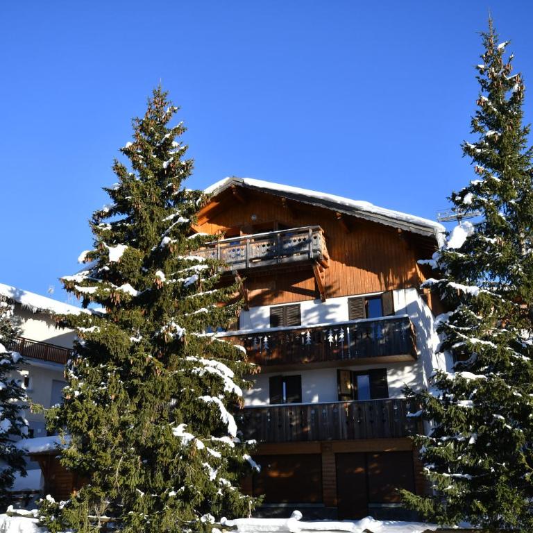 Catered chalet ideal location centre of Alpe d'Huez - 4 en-suite bedrooms - sauna - private home cinema - 10 people - Appartement - 5