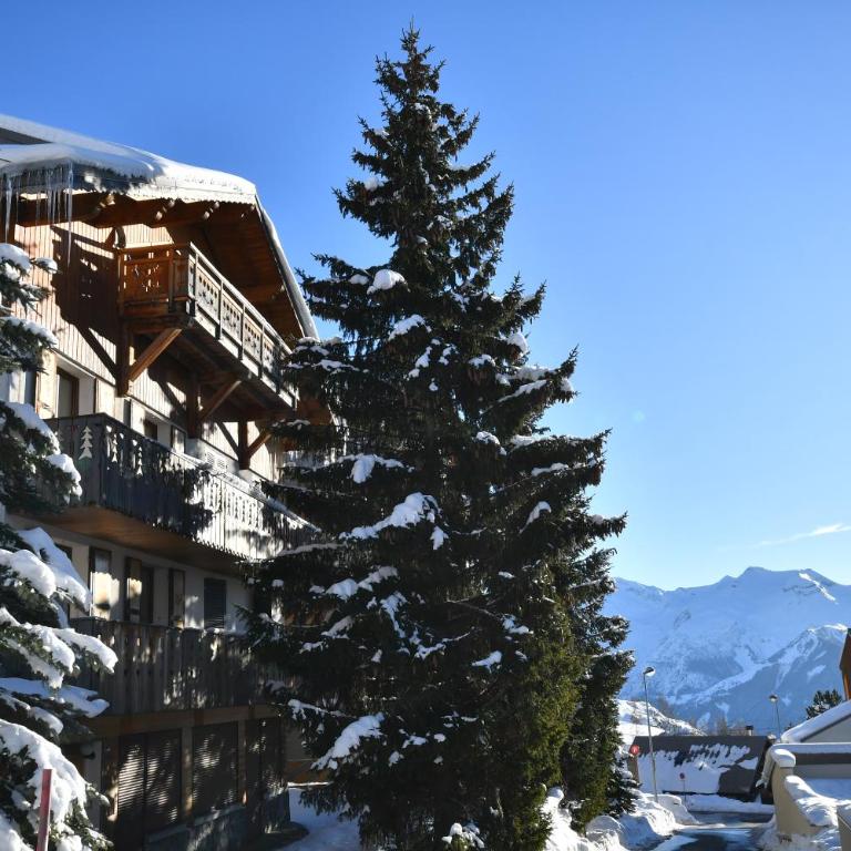 Catered chalet ideal location centre of Alpe d'Huez - 4 en-suite bedrooms - sauna - private home cinema - 10 people - Appartement - 24