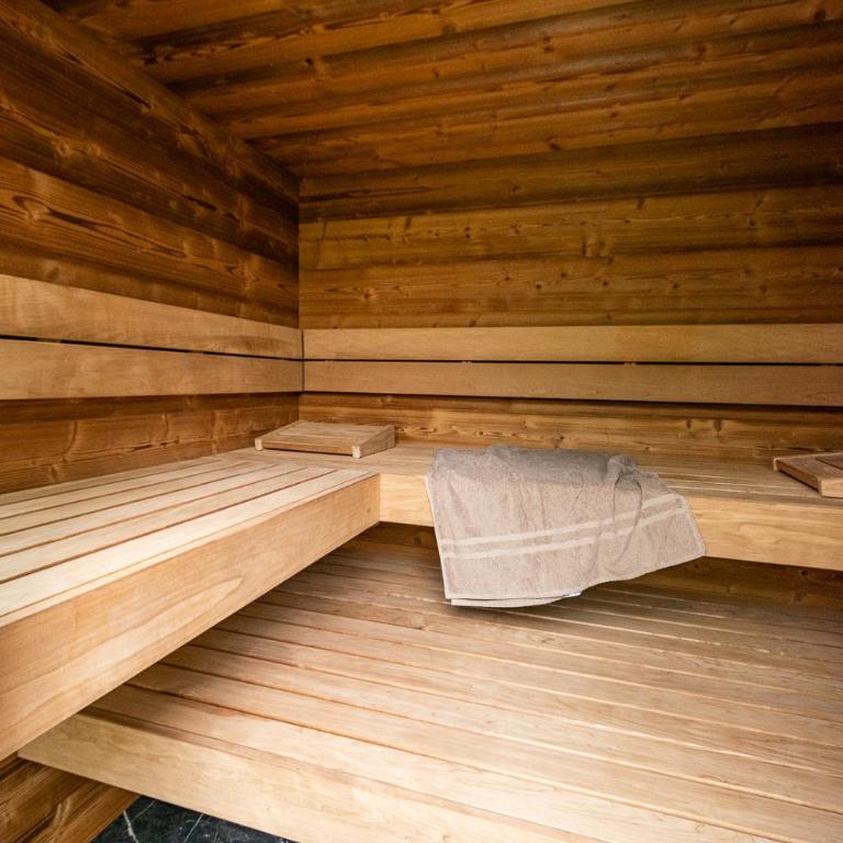 Alpenloft 204, NEU ab 2025 - Appartement Supérieur avec Sauna - 29