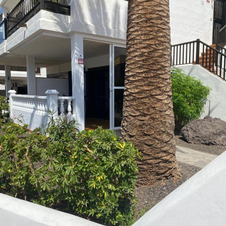 Pebble Beach - Apartamento de 1 dormitorio - 6
