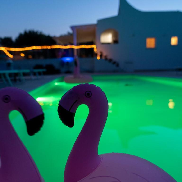 La Terrazza sugli Ulivi - con PISCINA PANORAMICA - Villa con Piscina Privata - 15