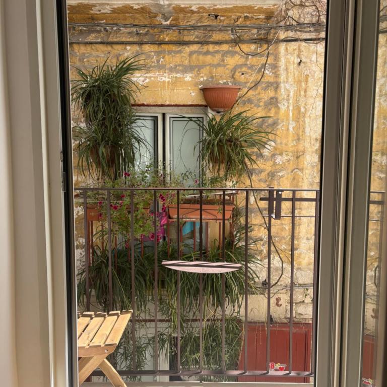 RomiRooms - Camera Matrimoniale Deluxe con Balcone - 28