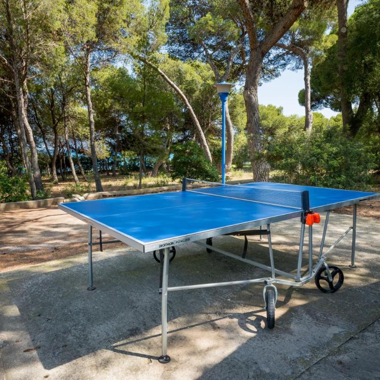 Con terraza con campo fútbol, pin pong con Parking - Apartamento de 2 dormitorios - 25