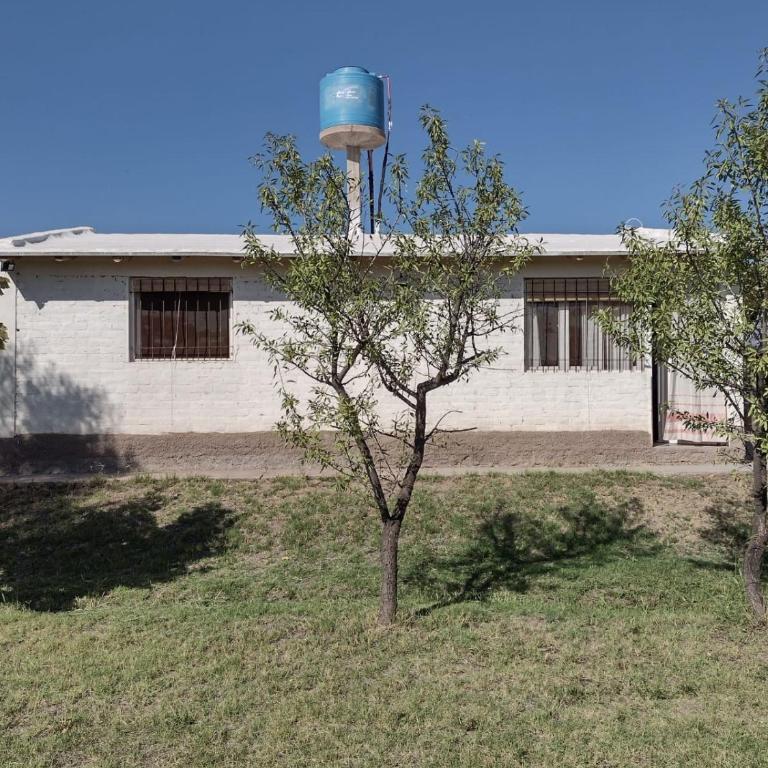 Alojamiento en La Consulta - Casa - 2