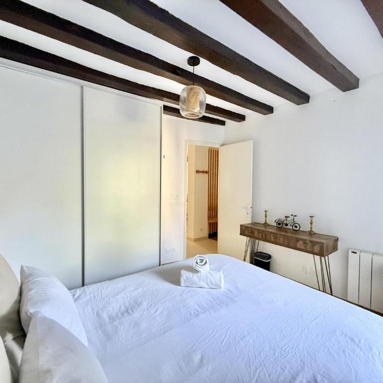 Paris center near Notre Dame 2 bedrooms with Balcony - Appartement 2 Chambres avec Balcon - 26