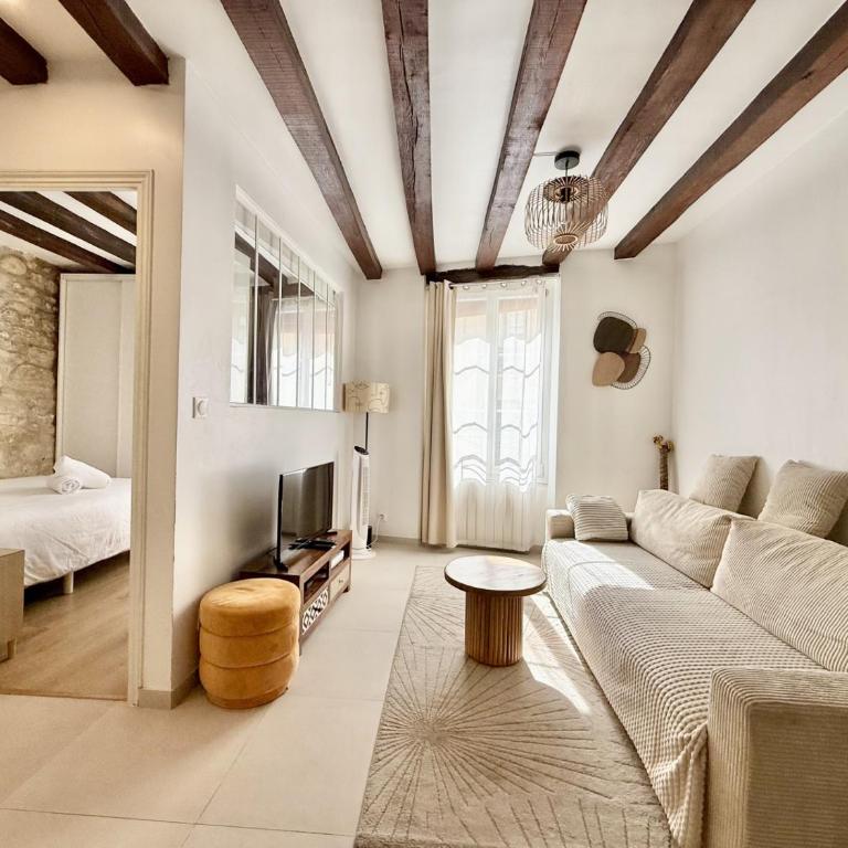 Paris center near Notre Dame 2 bedrooms with Balcony - Appartement 2 Chambres avec Balcon - 20