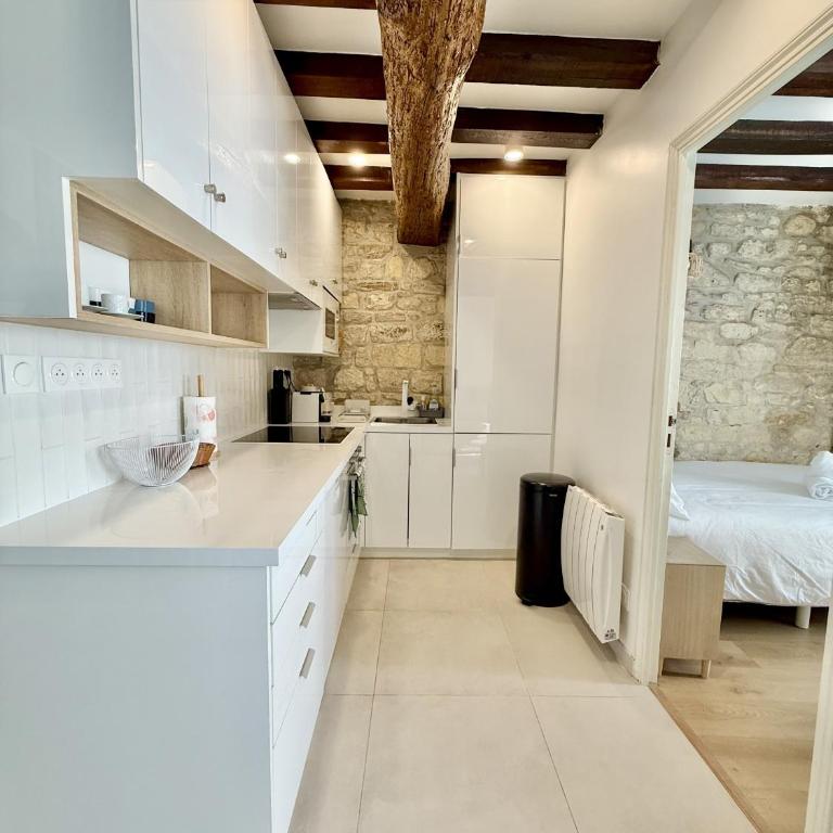 Paris center near Notre Dame 2 bedrooms with Balcony - Appartement 2 Chambres avec Balcon - 19