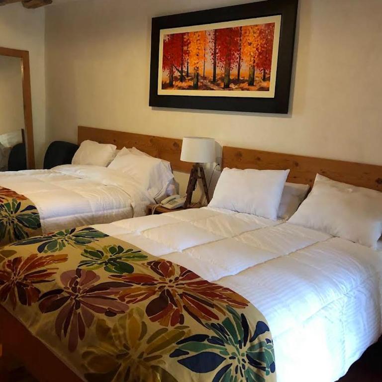 Hacienda Santa Ana - Habitación Doble - 2 camas - 1