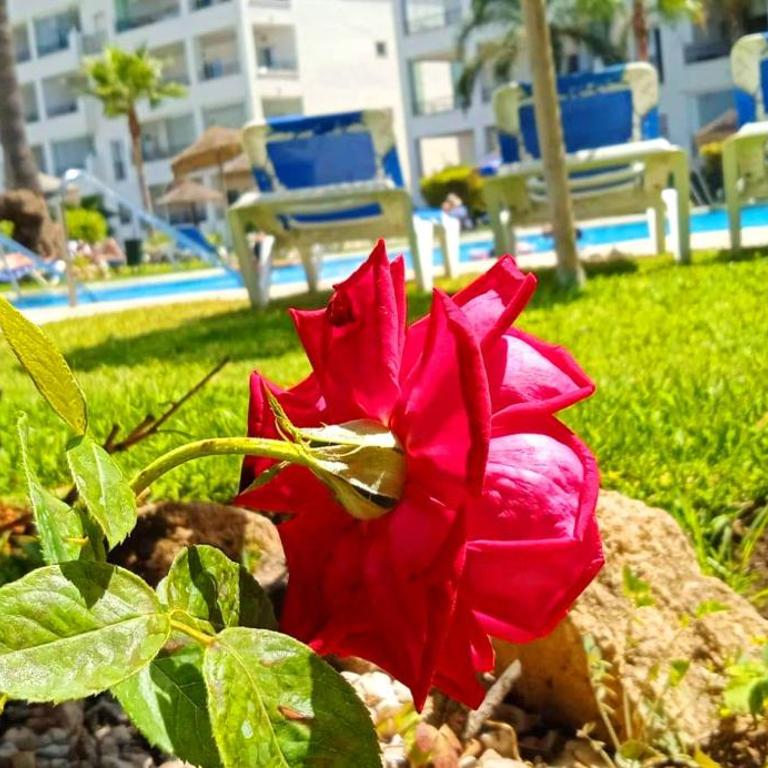 DiCaprio - Sunset Ritual incl I by MovieStar Holidays - Apartamento de 1 dormitorio - 71