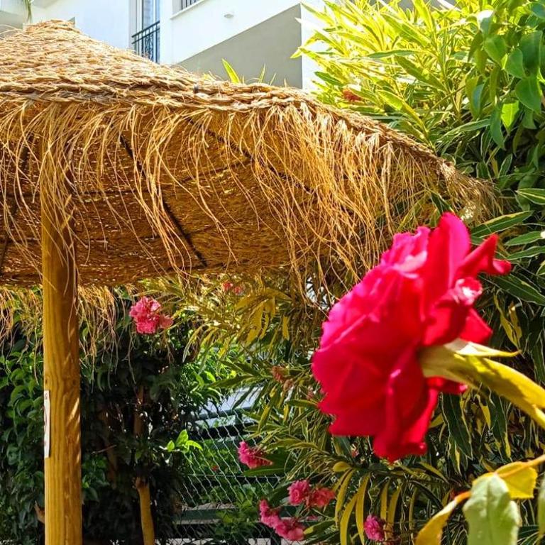 DiCaprio - Sunset Ritual incl I by MovieStar Holidays - Apartamento de 1 dormitorio - 75