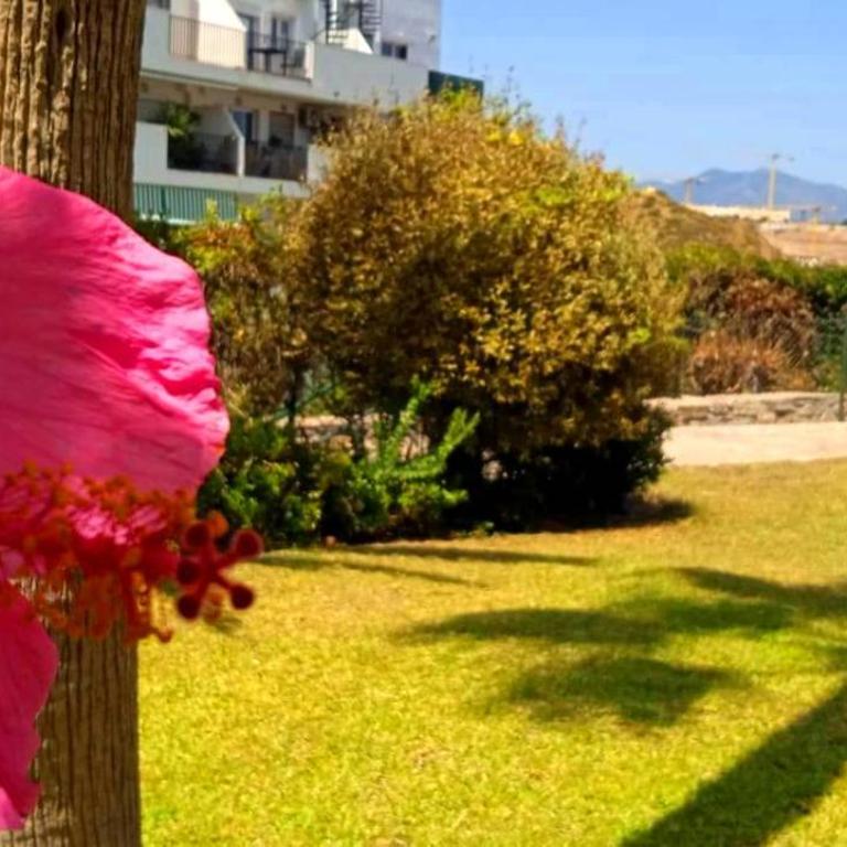 DiCaprio - Sunset Ritual incl I by MovieStar Holidays - Apartamento de 1 dormitorio - 77