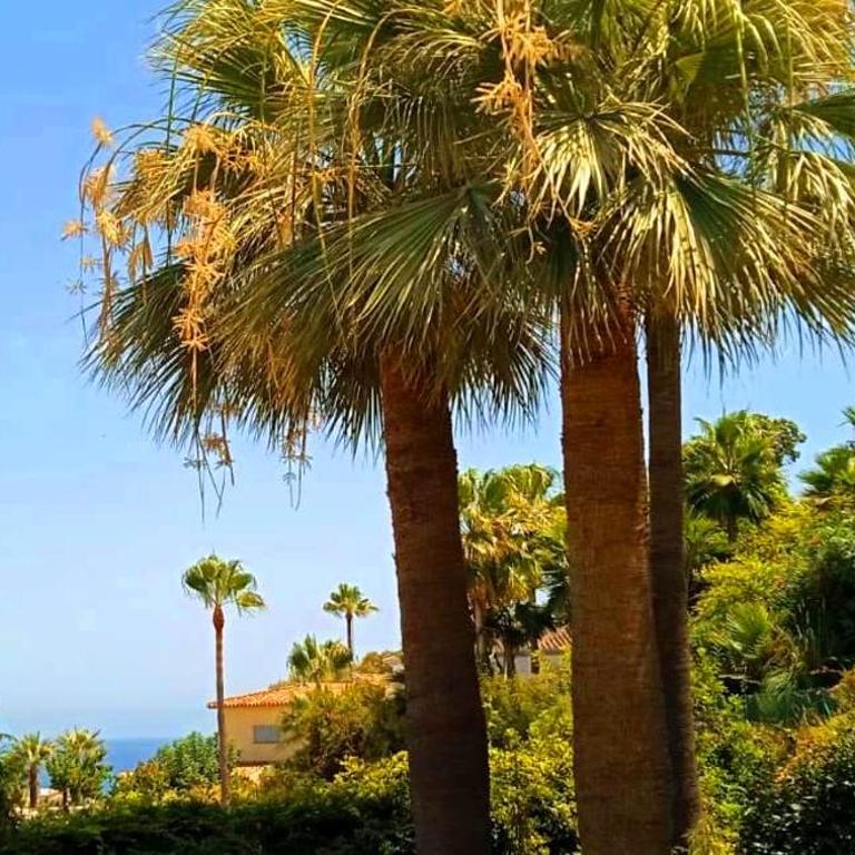 DiCaprio - Sunset Ritual incl I by MovieStar Holidays - Apartamento de 1 dormitorio - 79