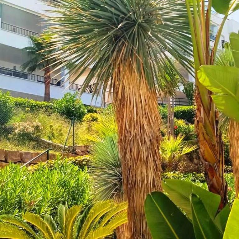 DiCaprio - Sunset Ritual incl I by MovieStar Holidays - Apartamento de 1 dormitorio - 93